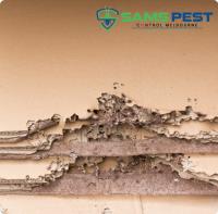 SAMS Termite Control Melbourne image 3